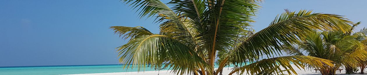 MAY CANCUN WEATHER visual data 5